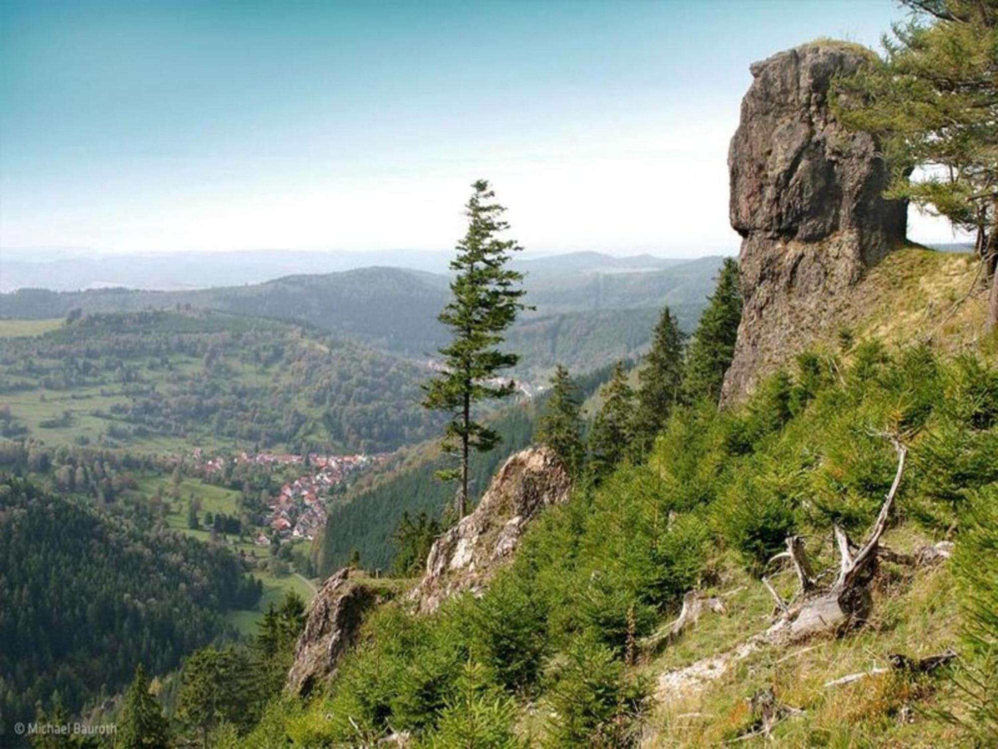 Vacation Home Am Hermannsberg, Oberschoenau Oberschonau 외부 사진
